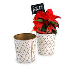 65  metal tall bucket white gold diamond pattern by121 1dpg wholesale