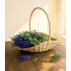 Handled Baskets