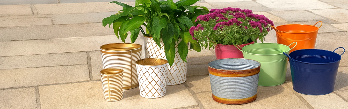 Wholesale New Arrivals