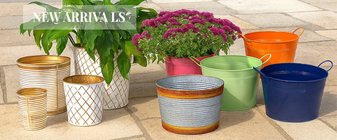 Wholesale New Arrivals